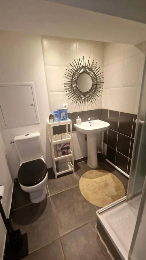 Appartement Givors Centre Duplex Meuble